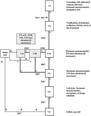 Treatment of Hypothyroid Patients With L-Thyroxine (L-T4) Plus Triiodothyronine Sulfate (T3S). A Phase II, Open-Label, Single Center, Parallel Groups Study on Therapeutic Efficacy and Tolerability